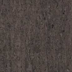 Линолеум Tarkett iq Optima DARK BROWN 0900 фото 1 | FLOORDEALER